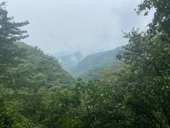 -宁波余姚老柿林山居度假村