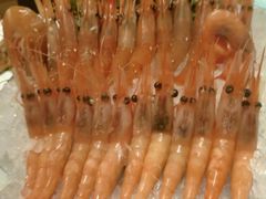 阿根廷红虾-柚子(假日店)