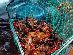 -二钳洞庭虾蟹·江湖菜(成都鹭岛店)