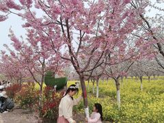 -古柏渡飞黄旅游区