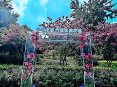 -杭州城北体育公园