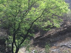 -北京上方山国家森林公园
