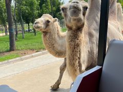 -南京金牛湖风景区