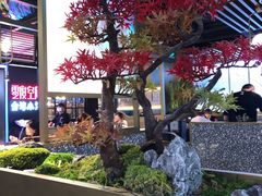 -鲜潭蒸汽石锅鱼(五道口购物中心店)
