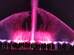 -九龙湖公园