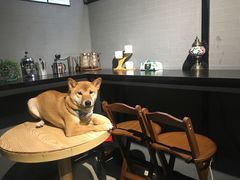 -柚下次·关东煮