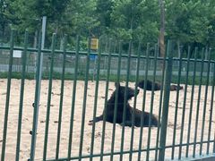 -秦皇岛野生动物园
