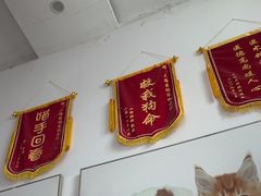 -爱侣宠医·鹦鹉专科·小型哺乳类·异宠专科(灵石路店)