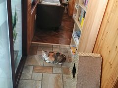 -隅cafe(傅厚岗店)