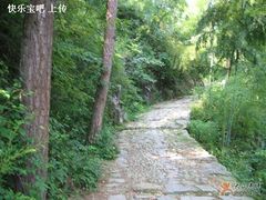 -东天目山风景区