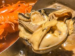 -揽季锅物会.福建黄鱼.海鲜姿造(五四路店)