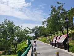 -白水寺森林公园