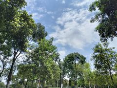 -天河儿童公园
