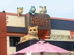 -向外鱼乐·土菜·虹鳟鱼