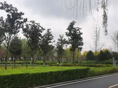 -洨河生态公园