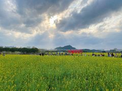 -光明小镇欢乐田园