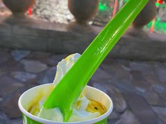 冻酸奶-Salud撒露欧洲冻酸奶(蓝色港湾店)
