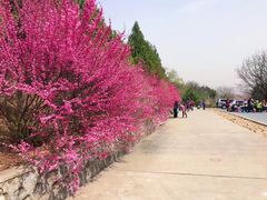 -北京鹫峰国家森林公园