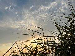 -苏州东太湖生态园