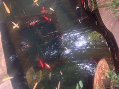 iphone_upload_pic-新竹里馆·花园餐厅(兴苑路店)