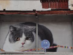 -方浜中路45弄小区