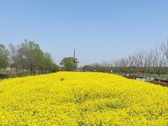 -嘉北郊野公园