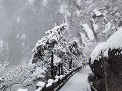-黄山风景区