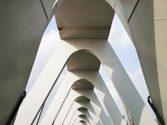 -上海山野camping·户外天幕烧烤·团建拓展营地