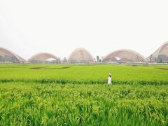 -中国天府农业博览园