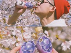 -大连植物园