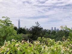 -九华山公园
