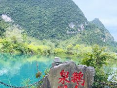 -靖西鹅泉风景区
