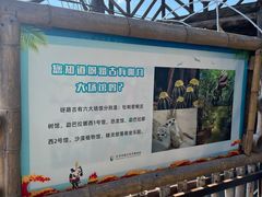 -呀路古热带植物园