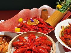 -杨氏青龙虾·羊蝎子(托乐嘉店)