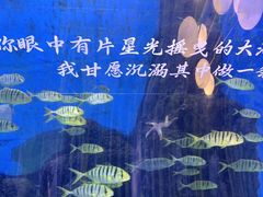 -重庆欢乐海底世界