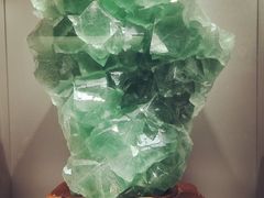 -甘肃地质博物馆