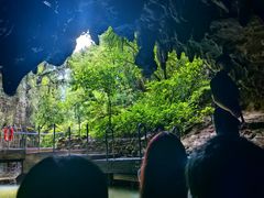 -怀托摩萤火虫洞