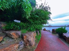 -莫内艺术岛海景咖啡