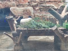 -石家庄市动物园