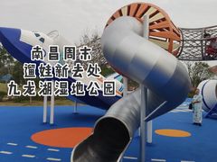 -九龙湖公园