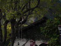 -村上春树