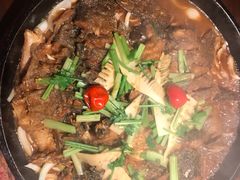-老板恋上鱼(高新万达店)