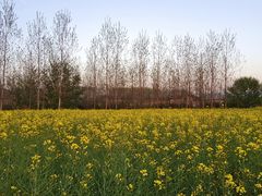 -黄牛肉馆·皖南土菜