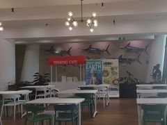-贝林大翅鲸简餐厅(国家海洋博物馆店)
