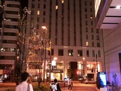 -秋叶原华盛顿酒店