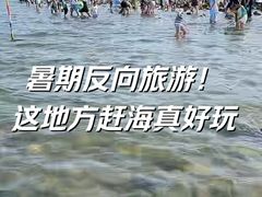 -小石岛景区