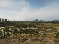 -通辽森林公园