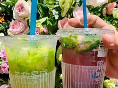 -茶救星球·蔬果茶(福田水围店)