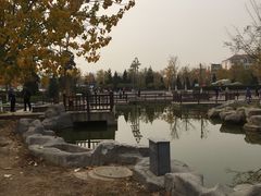-绿岛公园(滨海新区)