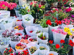 -中环花鸟鱼虫市场